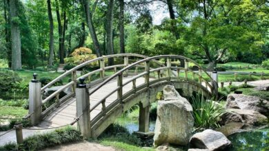 Der Tag: Brücke stürzt ein - zwei Tote und zwei Verletzte