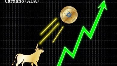 Cardano