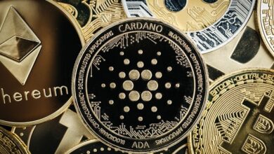 Cardano-Wachstum könnte eine neue Rallye auslösen; $GFOX nähert sich 4 Millionen US-Dollar