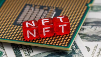 Cricket Stars records 12,000 NFT transactions in a month