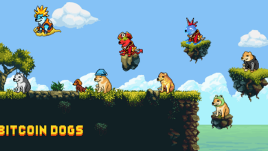 Der allererste ICO auf der Bitcoin-Blockchain startet in weniger als einer Stunde