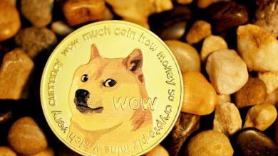Dogecoin