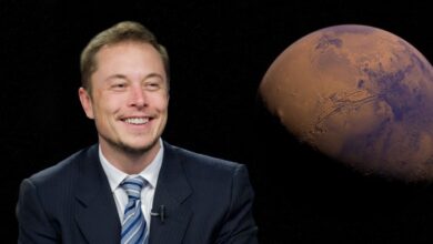 Elon Mars X Coin fällt nach frühmorgendlichem Anstieg