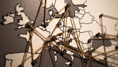Europäische Bauernproteste: Woher kommt die Wut?