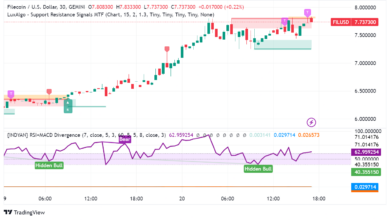 Filecoin Rockets 15% on Solana Partnership: What