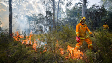 In australischen Städten besteht höchste Buschfeueralarm