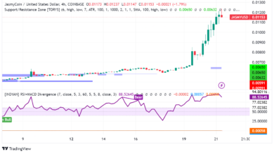 JasmyCoin Soars: Whale Moves, Bullish Sentiment, or Fleeting Hype?