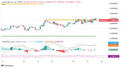 Manta Network Surges After BNB Chain Integration