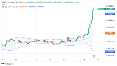 Meme Coin Frenzy: Pepe Coin (PEPE) Pumps Over 50% in 24 Hours