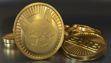 Meme-Enthusiasten übersehen Shiba Inu und Bonk für diesen neuen P2E-Memecoin, NuggetRush (NUGX).