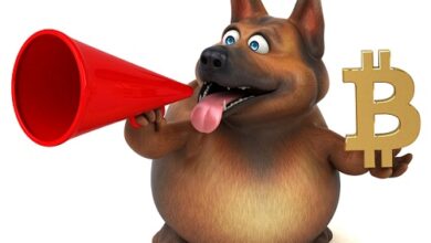 NFT-Gaming-Projekt mit Hundemotiv stellt inmitten des Bitcoin-Comebacks den ersten BRC-20-ICO vor