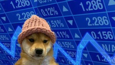 Neues ATH für WIF? Analyst geht davon aus, dass Dogwifhat bald „Turboparabolisch“ wird