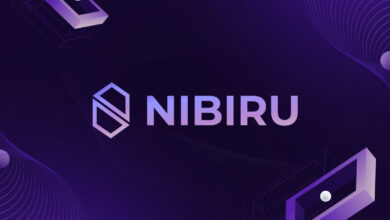 Nibiru Chain Sichert sich 12 Millionen US-Dollar, um die entwicklerorientierte L1-Blockchain voranzutreiben
