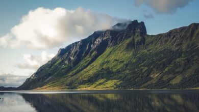 Norwegen: König Harald erneut erkrankt