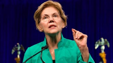 Senatorin Elizabeth Warren bezeichnet John Deatons Senatsbewerbung als „Bedrohung“