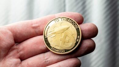 Sind Dogecoin und Shiba Inu aus der Mode gekommen? Investoren wechseln zu dieser neuen Meme-Erzählung