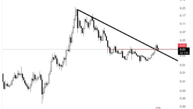Cardano-Preisanalyse