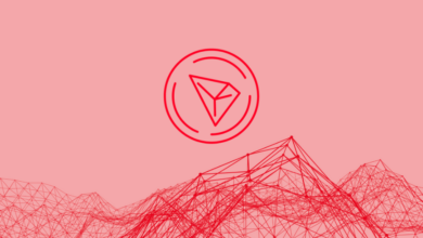 Tron (TRX)-Investoren fügen DeeStream (DST) hinzu, nachdem Binance Coin (BNB)-Fonds enorme Investitionen in innovative Vorverkäufe getätigt hat