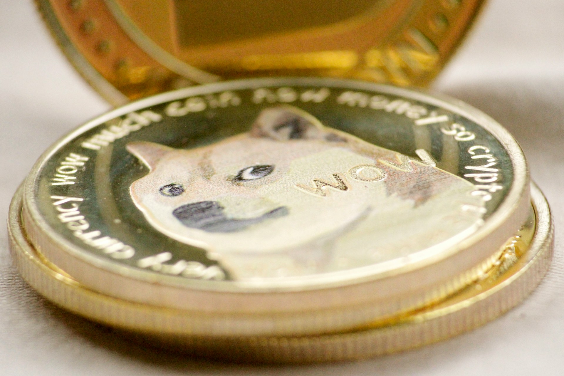 Wer hat den DOGE rausgelassen?  Münzen mit Hundemotiv steigen um 12 %, WIF und FLOKI sind führend