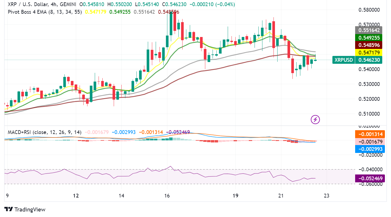 XRP Trading: Key Points Before You Dive In