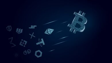 Crypto bull run