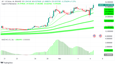 Arweave (AR) Gains Over 16%: Innovation, AI Hype, and Market Momentum Support