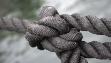 „Auch scheinbar etablierte Demokratien können sich aushöhlen.“