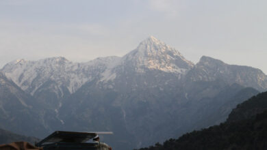 Bei einem Selbstmordanschlag in Pakistan kommen fünf Chinesen ums Leben