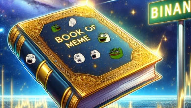 Binance listet Book of Meme (BOME): Preisauswirkungen