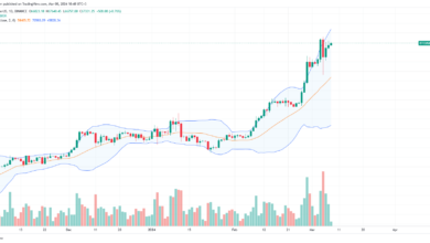 Bitcoin price daily chart for March 8