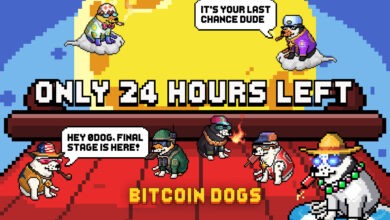 Bitcoin Dogs sammelt über 11,5 Millionen US-Dollar und geht in die letzten 24 Stunden