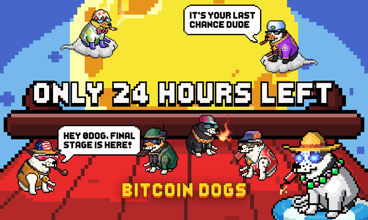 Bitcoin Dogs sammelt über 11,5 Millionen US-Dollar und geht in die letzten 24 Stunden