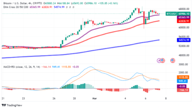 Bitcoin on a Rollercoaster Ride: Will the Bulls Stay in Charge?