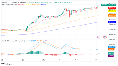 Bitcoin bricht Rekorde und erreicht ein Allzeithoch von über 71.000 US-Dollar!