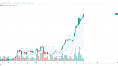 Bitcoin daily price chart for March 11