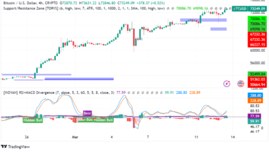 Bitcoin Breaches $73,000: What