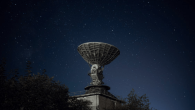 Cardano