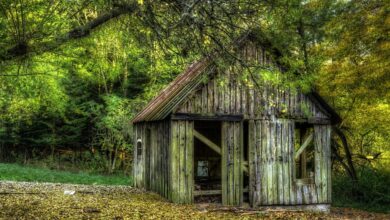 DIW-Studie: Eingeschränkte Gesundheitsversorgung von Flüchtlingen wird Kosten nicht senken