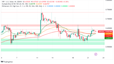 XRP Price Rebounds Amidst Ripple Lawsuit Update and Whale Activity