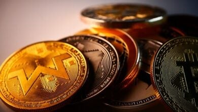 Digitale Vermögenswerte verzeichnen einen neuen Rekord von wöchentlichen Zuflüssen in Höhe von 2,9 Milliarden US-Dollar