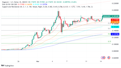 Dogecoin Surges 17% Fueled by Positive Market Sentiment and Elon Musk