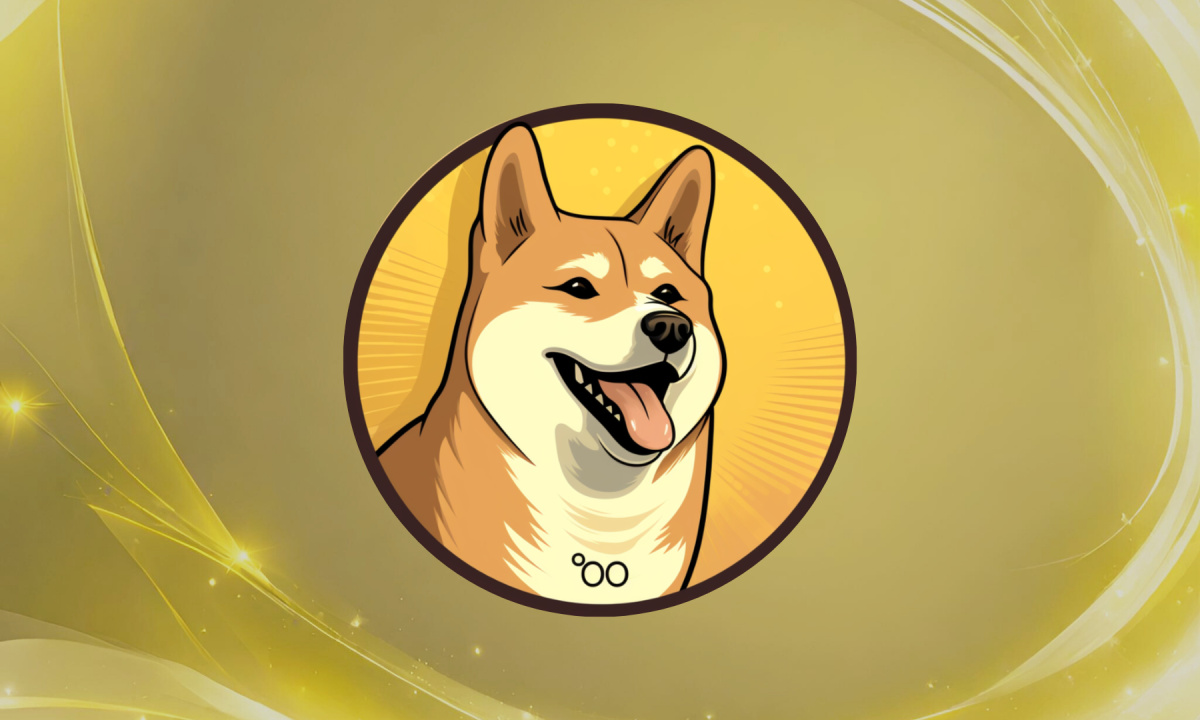 Dogecoin20 Meme Coin startet ICO und sammelt innerhalb weniger Stunden 200.000 US-Dollar ein