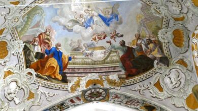 Frau bringt Mützenbommel zu Igelaufzuchtstation