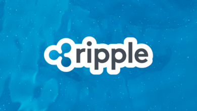 Kann sich XRP langfristig erholen?