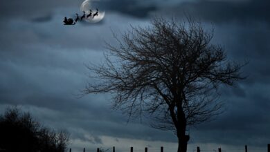 Parteiloser Kennedy-Neffe mischt US-Wahlkampf auf