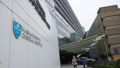 Mann erhält Schweineniere als medizinischen Meilenstein