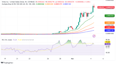 Memecoin Mania bringt starken Anstieg bei Shiba Inu (SHIB)