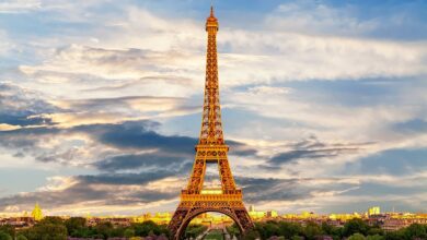 Paris wirft Moskau „Bettwanzen-Panikmache“ vor