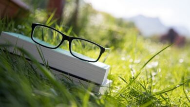 Preisprognose für BOOK OF MEME (BOME), während der Kangamoon-Vorverkauf an Fahrt gewinnt