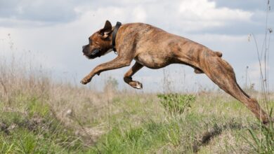 Schockierende Szenen in Florida Betrunkenes Pärchen liegt wie ohnmächtig am Strand
